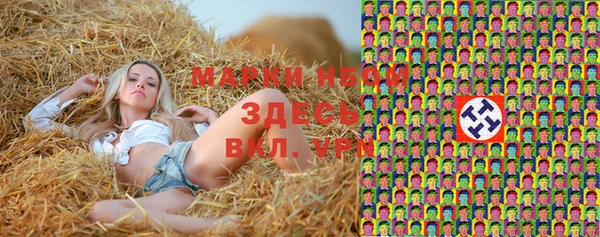 ГАЛЛЮЦИНОГЕННЫЕ ГРИБЫ Алзамай