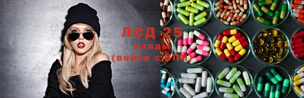 ГАЛЛЮЦИНОГЕННЫЕ ГРИБЫ Алзамай