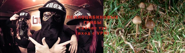 ГАЛЛЮЦИНОГЕННЫЕ ГРИБЫ Алзамай