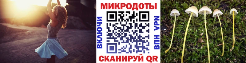 где купить наркоту  Мичуринск  Галлюциногенные грибы MAGIC MUSHROOMS 